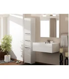 Bathroom cabinet FRANIA S43 three-door, white order